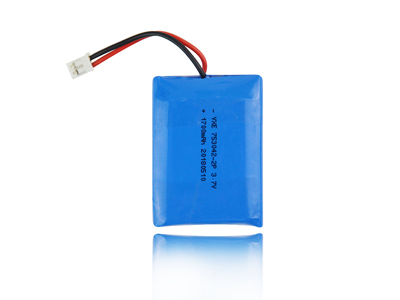 Electric Vehicle Battery: Charging Station or Battery Replacement